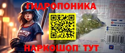 спайс Будённовск